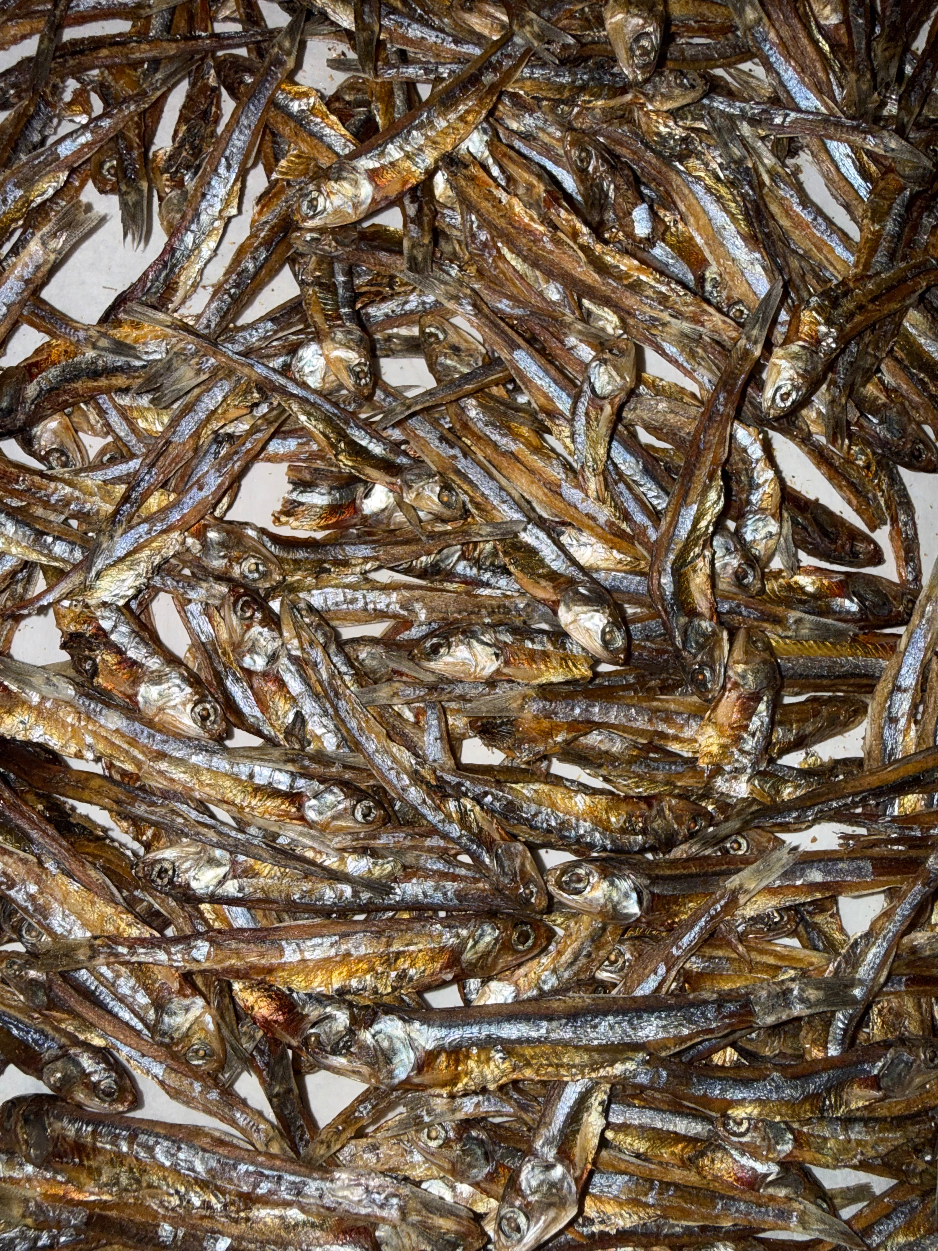 Close-up of dehydrated anchovies