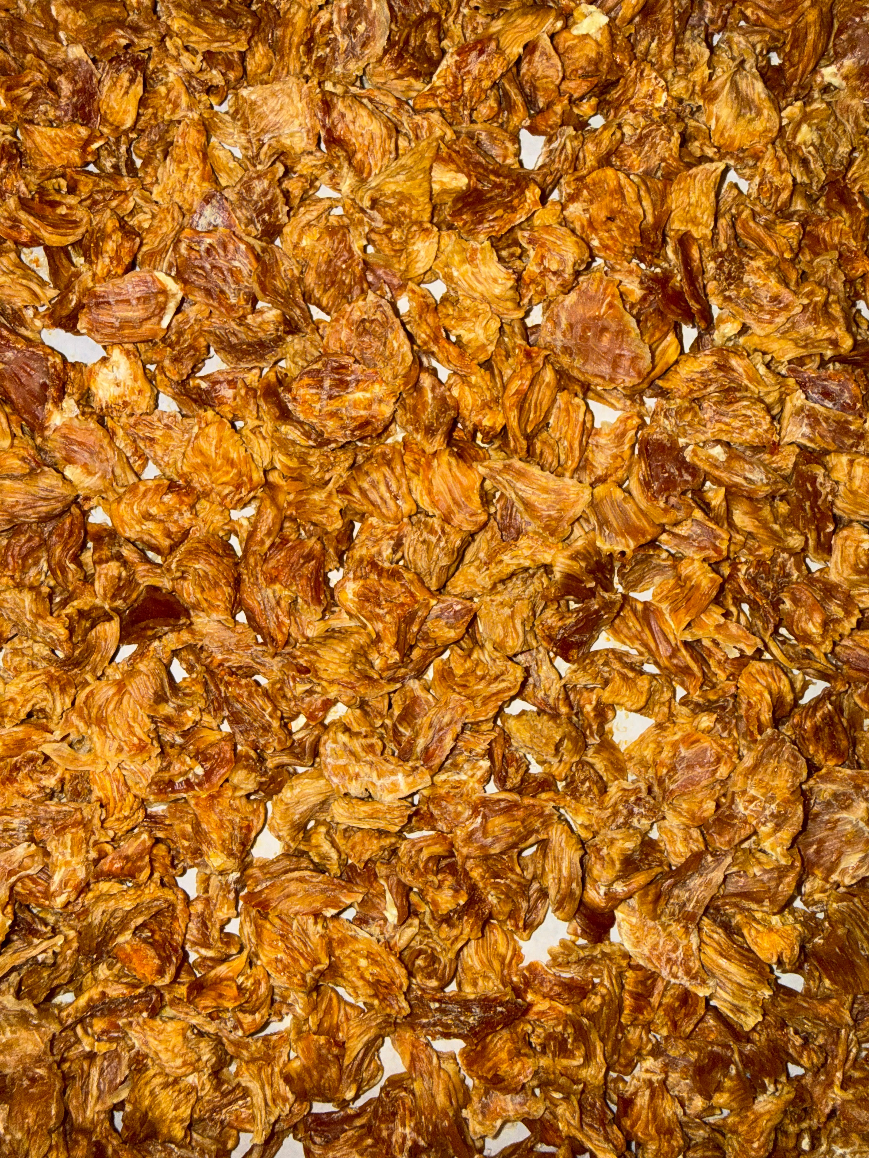 Close-up of dehydrated chicken breast