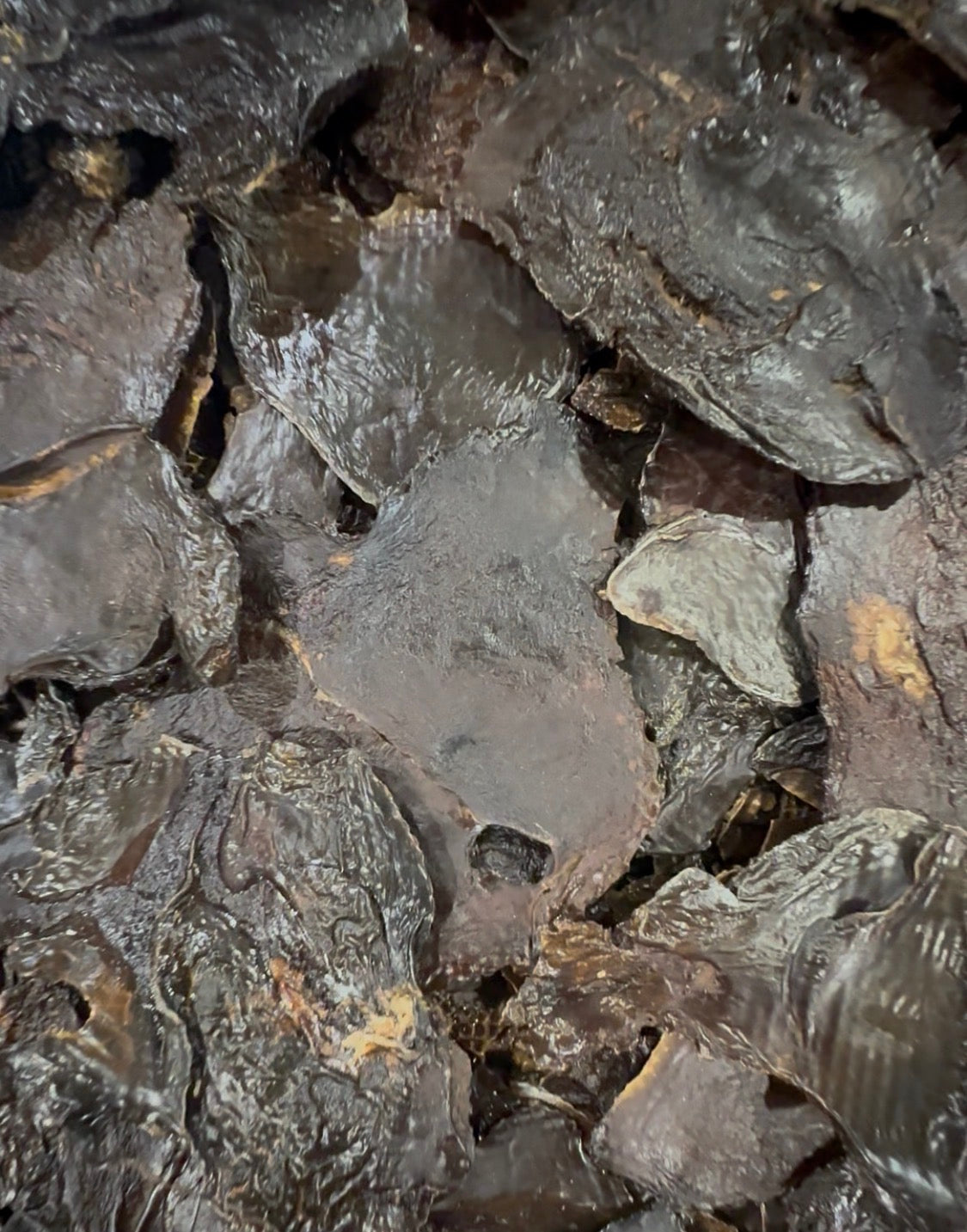 Close-up of dehydrated chicken liver