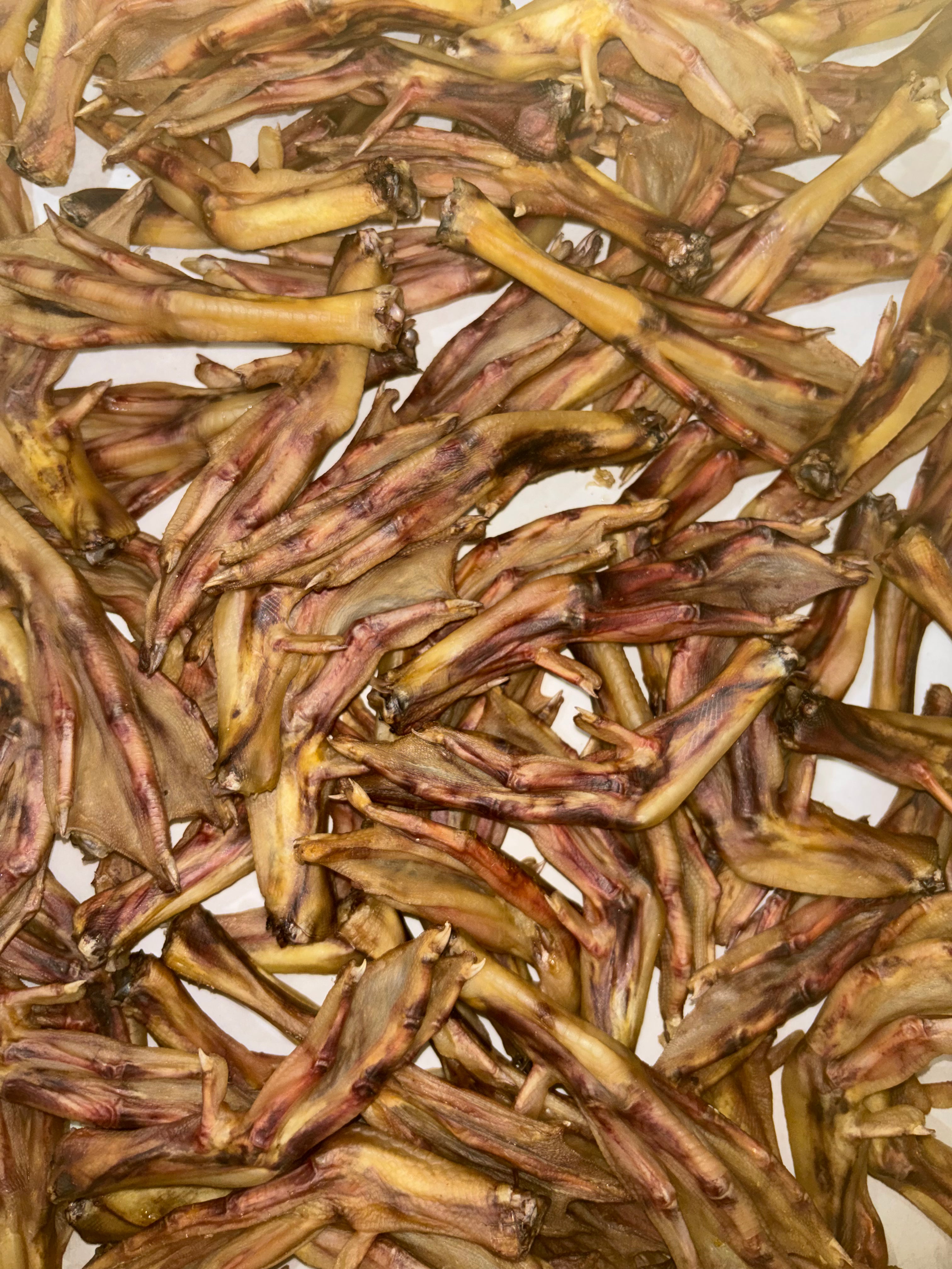 JOI single ingredient dehydrated duck feet dog treat unpackaged
