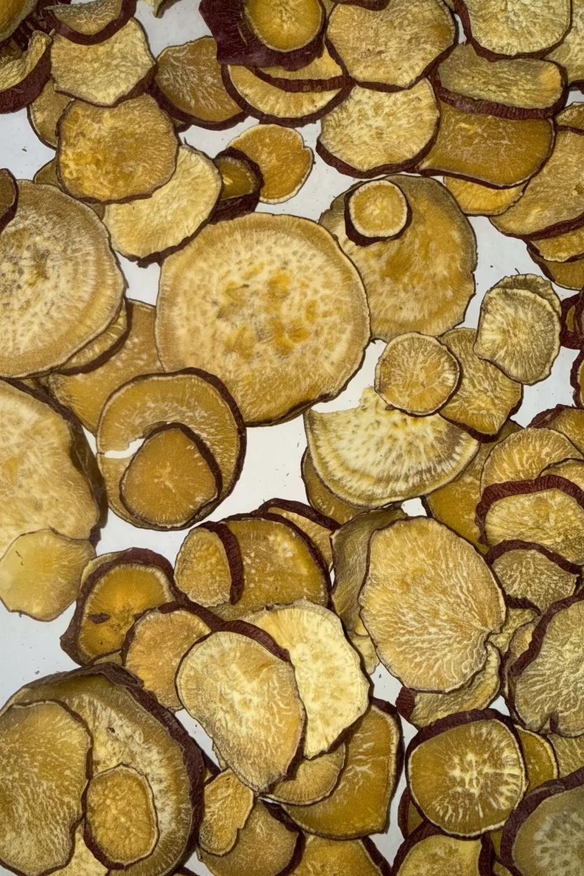 JOI single ingredient dehydrated Korean sweet potatoes dog treats unpackaged