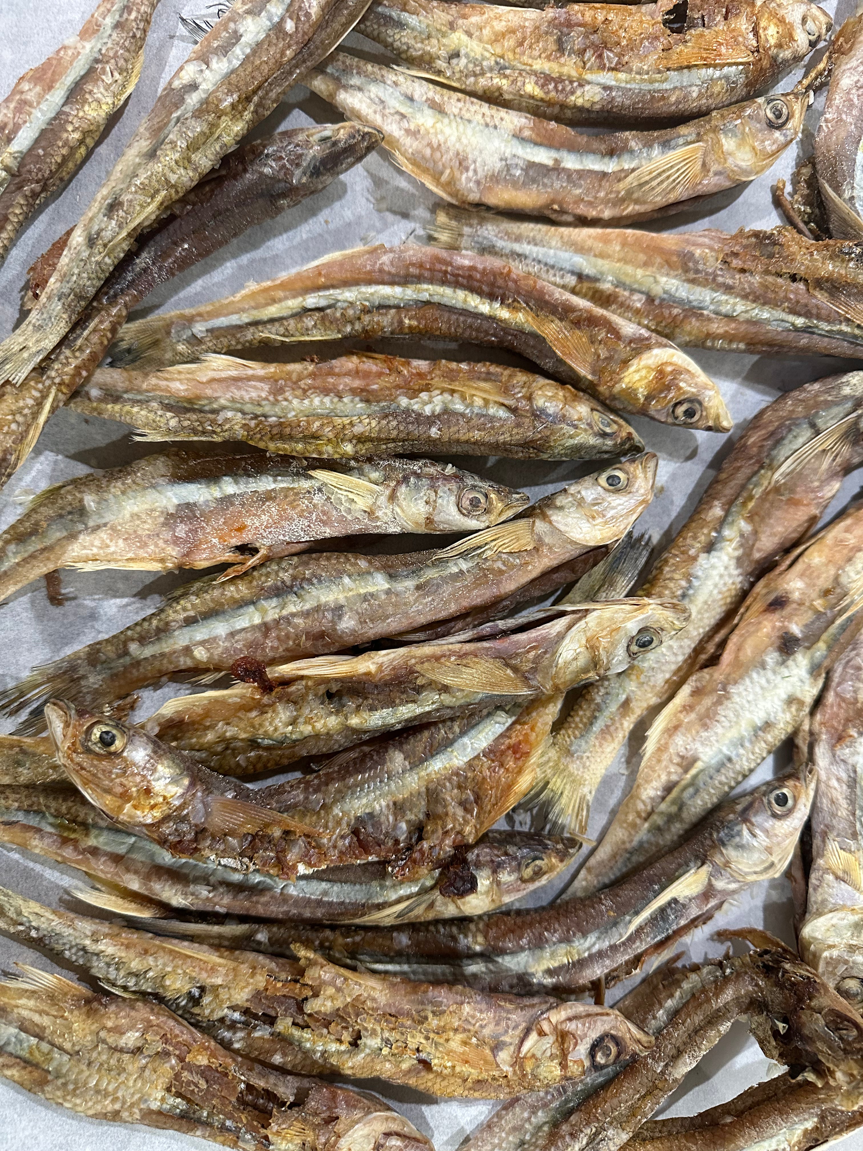Close-up of large, dehydrated smelt fish