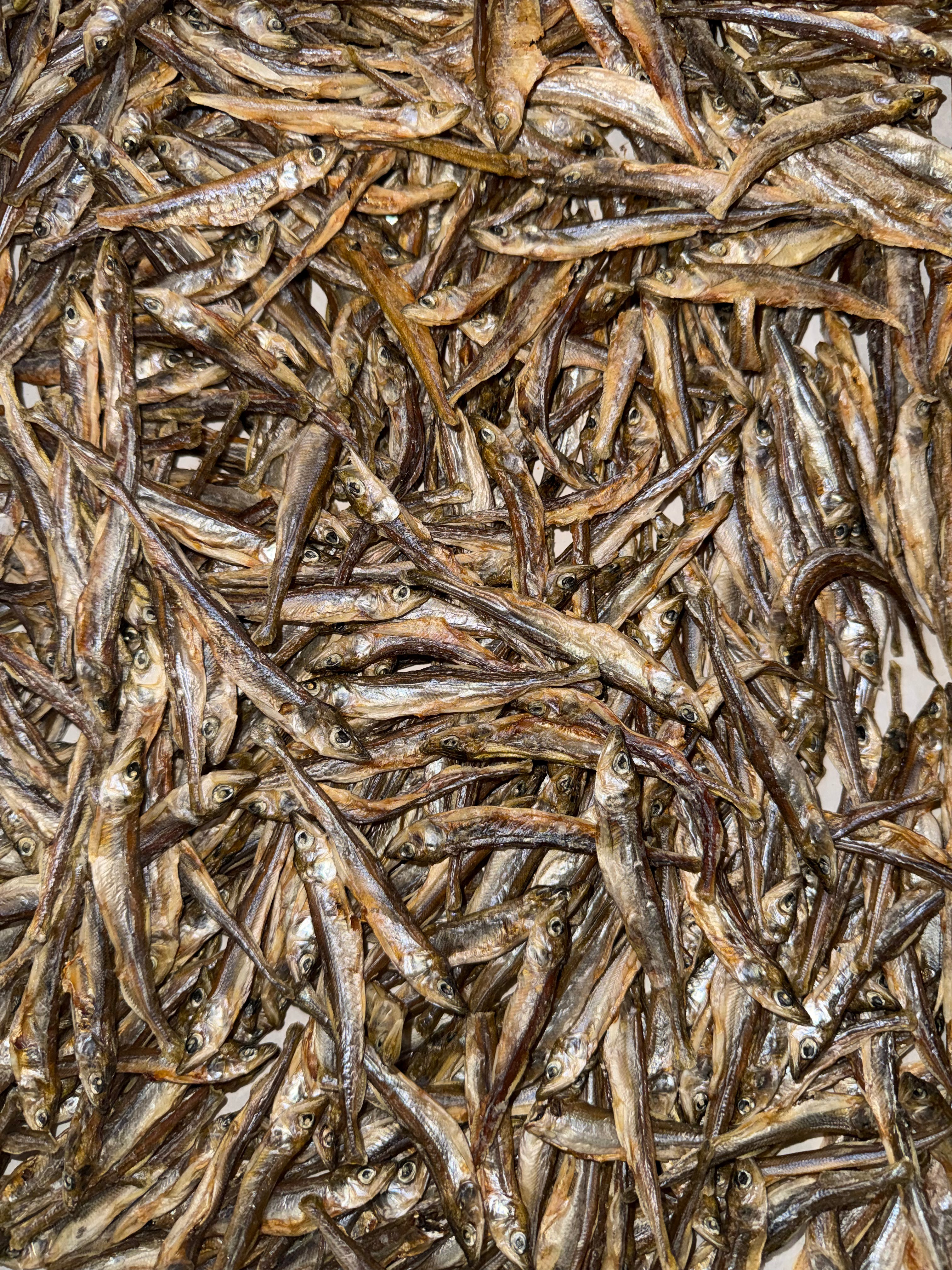 Close-up of small, dehydrated smelt fish